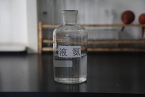 圖片11.jpg